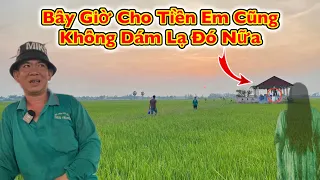 Ghê Rợn 2 Người Đàn Ông Bỏ Chạy Để “Giữ Mạng” Vì Bắt Gặp “Thiếu Nữ” Ở Cánh Đồng Hoang Vu Ớn Lạnh