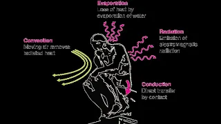 Heat Transfer Mechanisms , Evaporation , Convection ,Conduction , Radiation