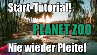 Nie wieder Pleite! Tutorial für den Start im Franchise Mode in Planet Zoo! Tipps und Tricks!