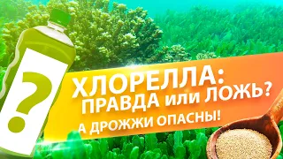 ОТВЕТЫ НА ВОПРОСЫ. ДРОЖЖИ НА ОГОРОДЕ , ФИТОФТОРА ТОМАТОВ, ПРИМЕНЕНИЕ ХЛОРЕЛЛЫ и УДАЛЕНИЕ ЛИСТЬЕВ