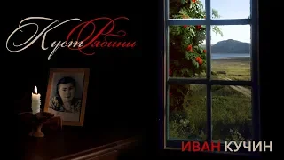 Иван Кучин  - Куст Рябины