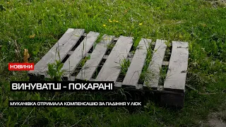 Досягнута справедливість: у Мукачеві покарали винуватців чисельних травм жінки