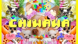 Just Dance 2016《舞力全開 2016》Chiwawa Official Music Video Anne Horel - Ubisoft SEA