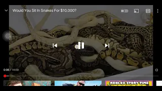 part 1 mrbeast sit in a tub of snakes for $10.000