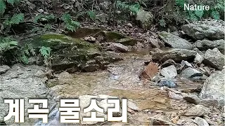 계곡물소리, 자연의 소리, ASMR, 휴식, 계룡산 수통골, Nature