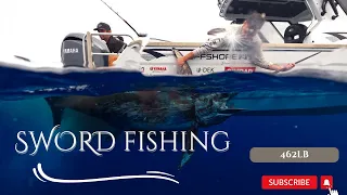 Catching Big Sword Fish 462lb