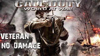 Call of Duty World at War - Veteran - No Damage - Full Game