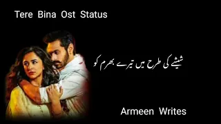 Tere Bin Ost Status Ft. Wahajali Yumnazaidi  #armeenwrites