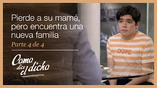 Como dice el dicho 4/4: Encuentra una nueva familia, a pesar de la ausencia de su mamá | Dos perros