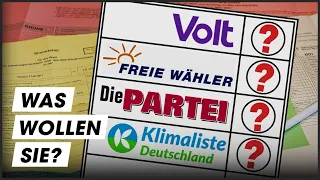 Die Partei, Volt und Co: Kleinparteien im Check!