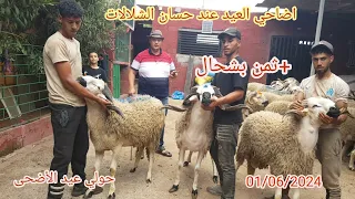 بيع اضاحي لعيد عند حسن الشلالات المحمدية + ثمن صردي والبركي عجلات 01/06/2024