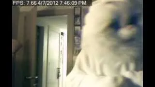 Easter Bunny caught on my security camera!