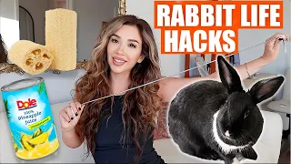 8 Life Saving Rabbit Hacks You NEED to Know!