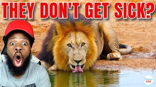 THIS IS MIND BLOWING!|How Can Animals Drink Water From Dirty Ponds And Not Get Sick? REACTION