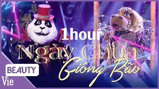 Ngày Chưa Giông Bão  [1 hour] Bố Gấu Hoàng Hải comeback battle cực cuốn cùng HippoHappy