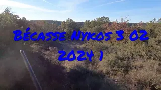 Bécasse Nykos 3 02 2024 1