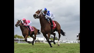 Gulfstream Park Resumen - 10 de Marzo 2024