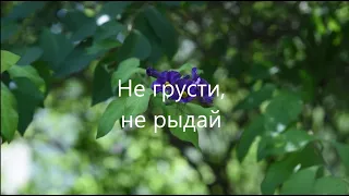 Не грусти, не рыдай | христианская музыка