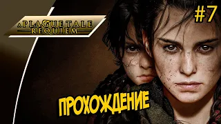 ✅A Plague Tale: Requiem✅ПРОХОЖДЕНИЕ Часть#7 от MamyraGames✅ГРУСТНЫЙ ФИНАЛ!!!