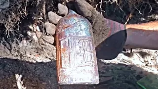 131-Year-Old Message in a Bottle Found on Australian Contains Bold Questions