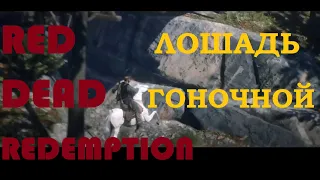 Red Dead Redemption 2✦КОГДА НАВИГАТОР ЗАВЕЛ НЕ ТУДА!!!✦