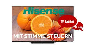 HISENSE TV mit Stimme steuern