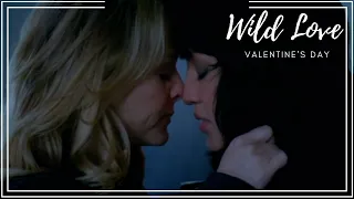 Multicouple | Wild Love (Happy Valentine's Day)