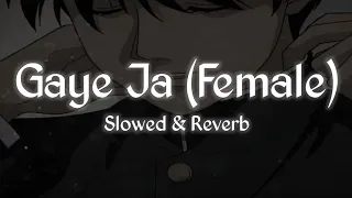 Gaye Jaa (Female Version) | Slowed & Reverb