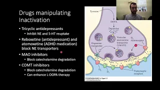 PSY305 CH5PT2: Catecholamine Inactivation