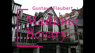 Flaubert - Madame Bovary - Vidéo 31 Partie 3 chapitre 8 (Livre Audio Complet)