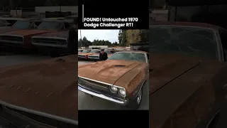 FOUND! Untouched 1970 Dodge Challenger RT! #mopar #dodgechallenger #barnfinds