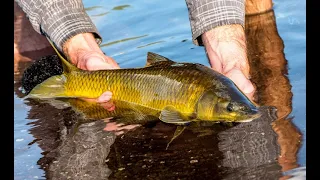 Fly Fishing Lesotho - Makhangoa Community Camp