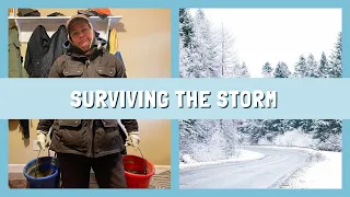 How to Get Horses Ready for a Winter Storm - 5 Tips to Ensure You Survive the Storm