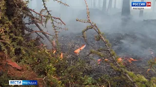 Пожар в 5 километров длиной тушат рядом с Магаданом