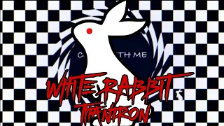 White Rabbit Custom Titantron 2022 "White Rabbit/The Whole World In His Hands"