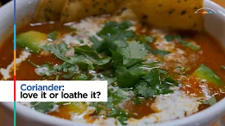 Coriander: love it or loathe it?