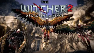 ГАРПИИ ▶ The Witcher 2 #11