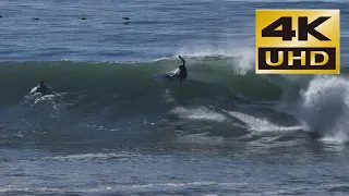 Big Wave Surfing at Rincon Point  - 12-28-2023
