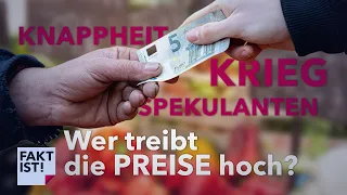 Krieg, Knappheit und Spekulanten – wer treibt die Preise hoch? | Fakt ist! | MDR