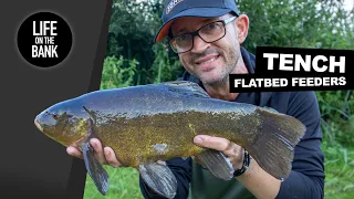 TENCH FISHING IN SUMMER - METHOD FEEDER