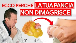 Ecco Perchè il Grasso Addominale è l'Ultimo a Sparire: Il Segreto