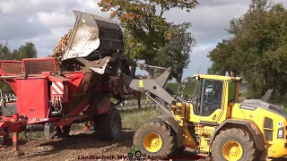 Volvo - Holmer - John Deere / Rübenverladung - Loading Beets  The Whole Story