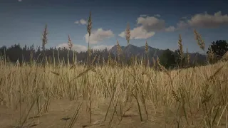 Photo Mode Camera can Move Grass in Red Dead Redemption 2 [Hidden Detail]