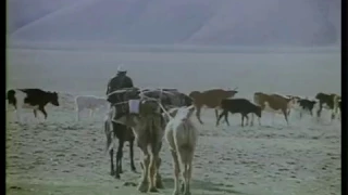 HAPPINESS, 1995 // KAZAKHFILM