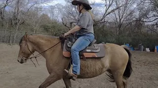 Second Ride Exercises with a green Mustang full ride session