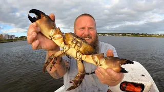 Almost lost a FINGER to this giant STONE CRAB!!!- 1st Pull of the Season!!! (Catch & Cook)