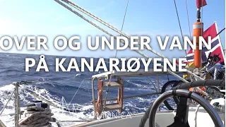 Seiling, dykking og tur på vulkan på KANARIØYENE | SAILING MONICA | EP 5