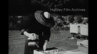 English Monk Beekeeping, 1940s - Archive Film 1094547