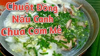 Chuột Đồng Nấu Canh Chua Cơm Mẻ Chuối Cây Siêu Hot / Món Ăn Kinh Dị Của Nhiều Người