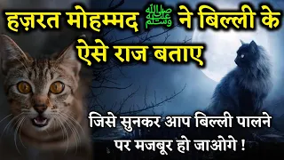 Hazrat Mohammad ﷺ Ne Billi Ke Barey Mein kya Farmaya Hai ? Cat || Noore hadees